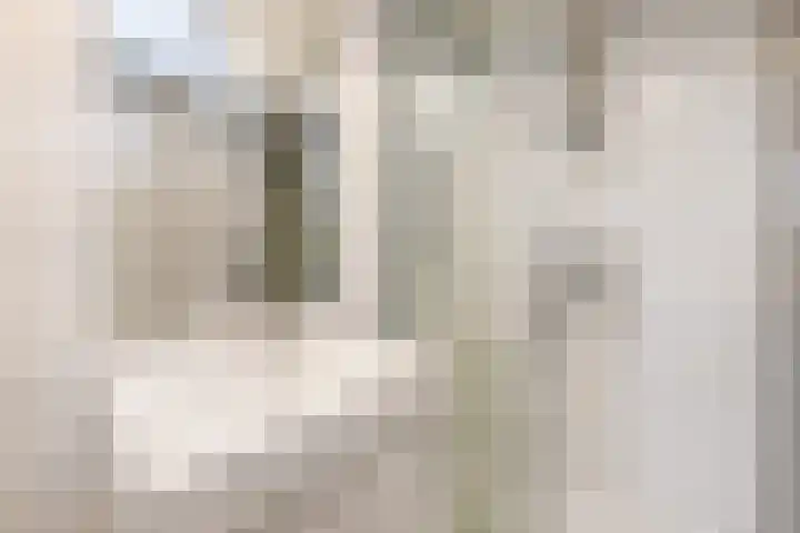 Paul Scholtenrode 30 Zoetermeer thumbnail 11
