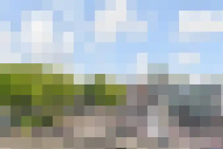 Paul Scholtenrode 30 Zoetermeer thumbnail 18