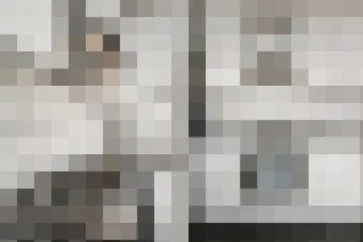 Paul Scholtenrode 30 Zoetermeer thumbnail 25