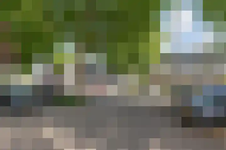 Paul Scholtenrode 30 Zoetermeer thumbnail 26