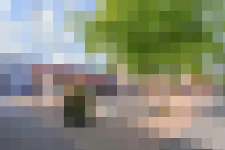 Paul Scholtenrode 30 Zoetermeer thumbnail 28