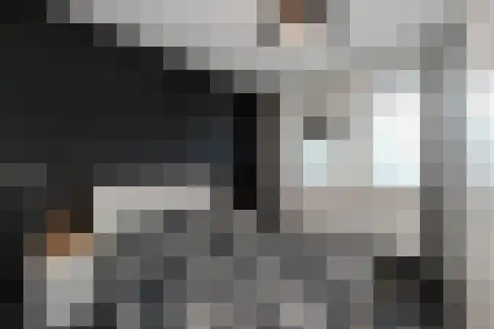 Paul Scholtenrode 30 Zoetermeer thumbnail 7