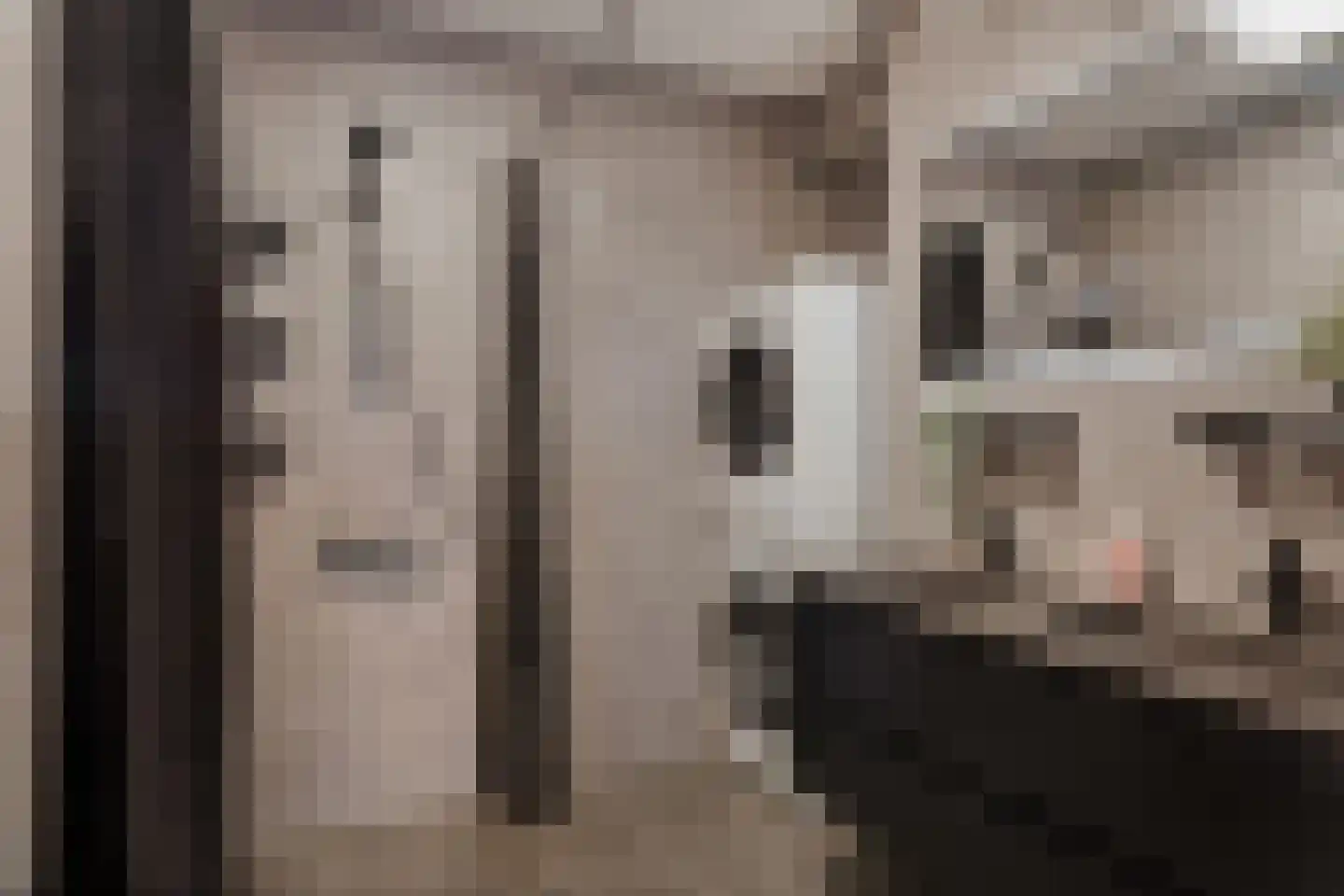 Paul Scholtenrode 33 Zoetermeer thumbnail 4