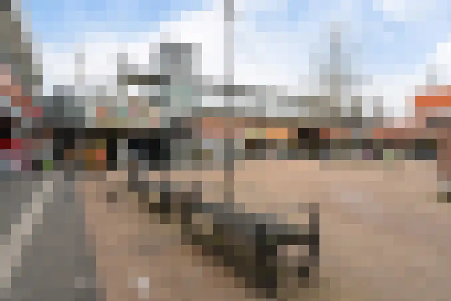 Paul Scholtenrode 33 Zoetermeer thumbnail 50