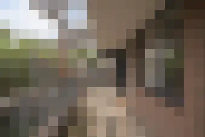 Paul Scholtenrode 74 Zoetermeer thumbnail 11