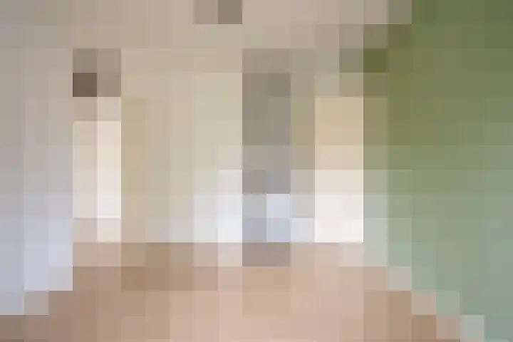 Paul Scholtenrode 74 Zoetermeer thumbnail 15