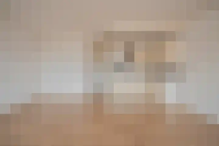 Paul Scholtenrode 74 Zoetermeer thumbnail 23