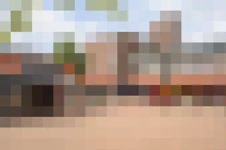 Paul Scholtenrode 74 Zoetermeer thumbnail 30