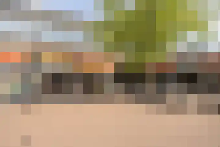 Paul Scholtenrode 74 Zoetermeer thumbnail 31