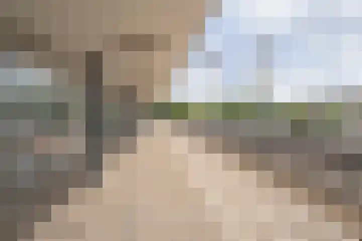 Paul Scholtenrode 74 Zoetermeer thumbnail 33
