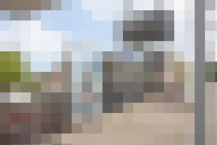 Paul Scholtenrode 74 Zoetermeer thumbnail 34