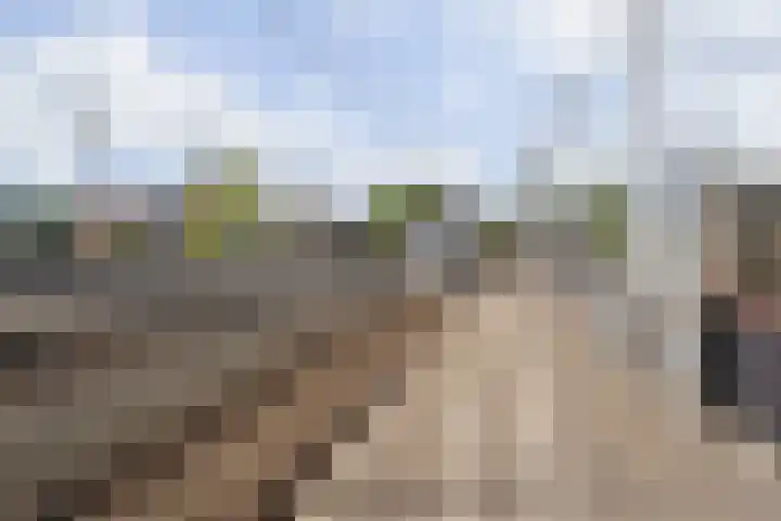 Paul Scholtenrode 74 Zoetermeer thumbnail 35