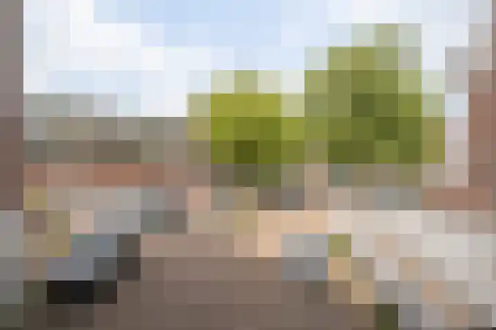 Paul Scholtenrode 74 Zoetermeer thumbnail 9