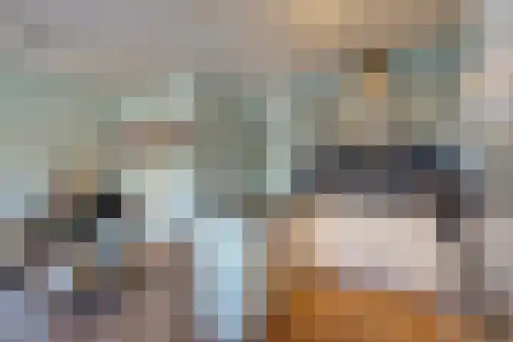 Paul Scholtenrode 9 Zoetermeer thumbnail 13