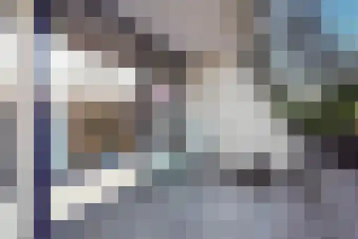 Paul Scholtenrode 9 Zoetermeer thumbnail 15