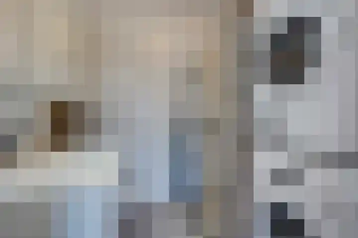 Paul Scholtenrode 9 Zoetermeer thumbnail 26