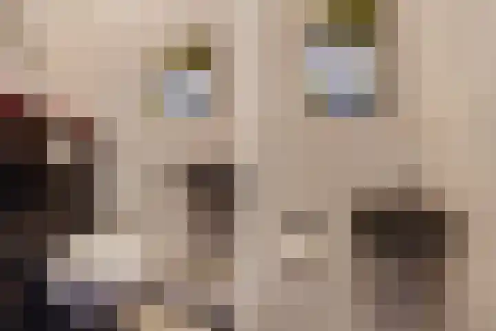 Paul Scholtenrode 9 Zoetermeer thumbnail 27