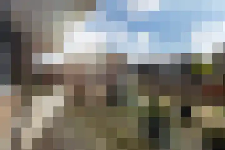 Paul Scholtenrode 9 Zoetermeer thumbnail 32