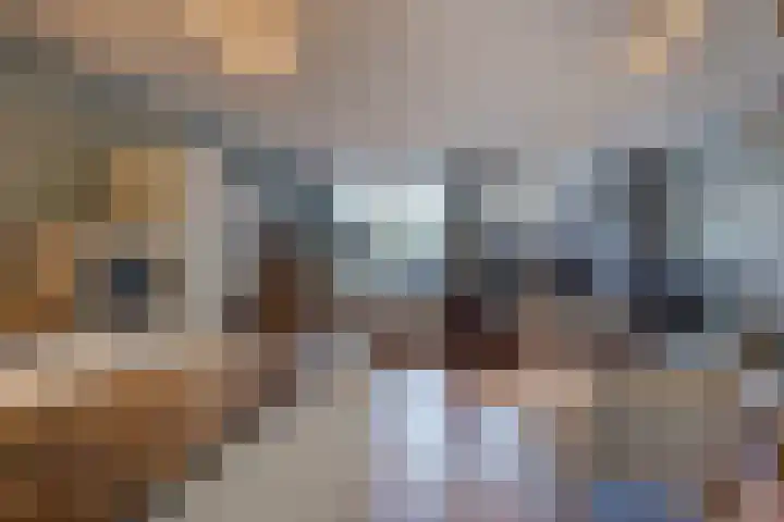 Paul Scholtenrode 9 Zoetermeer thumbnail 6