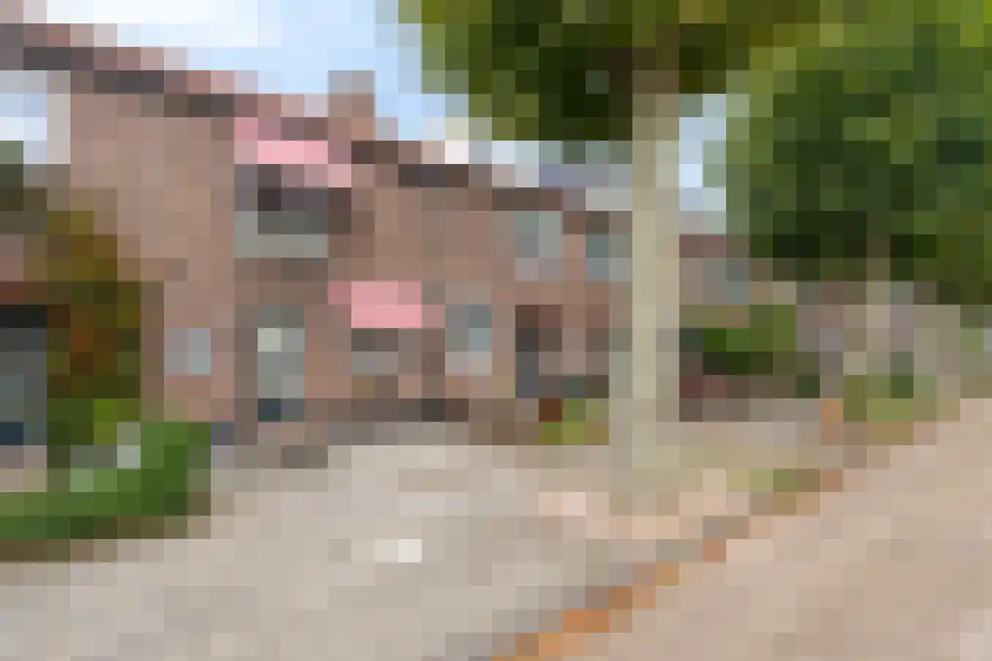 Paul Scholtenstraat 71 Amsterdam thumbnail 33