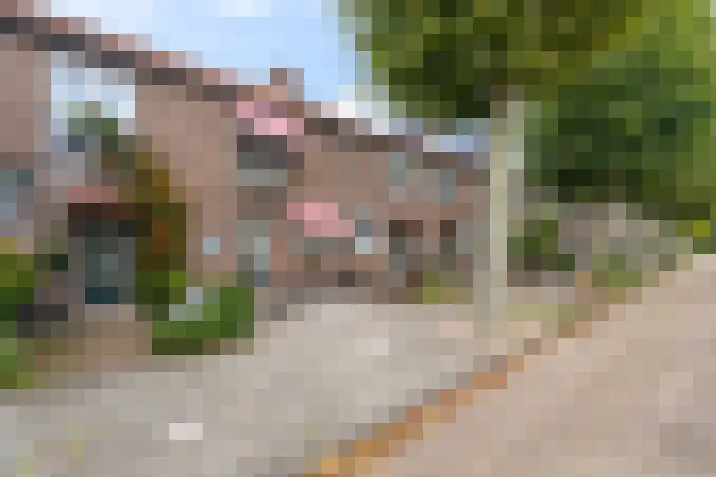 Paul Scholtenstraat 71 Amsterdam thumbnail 46