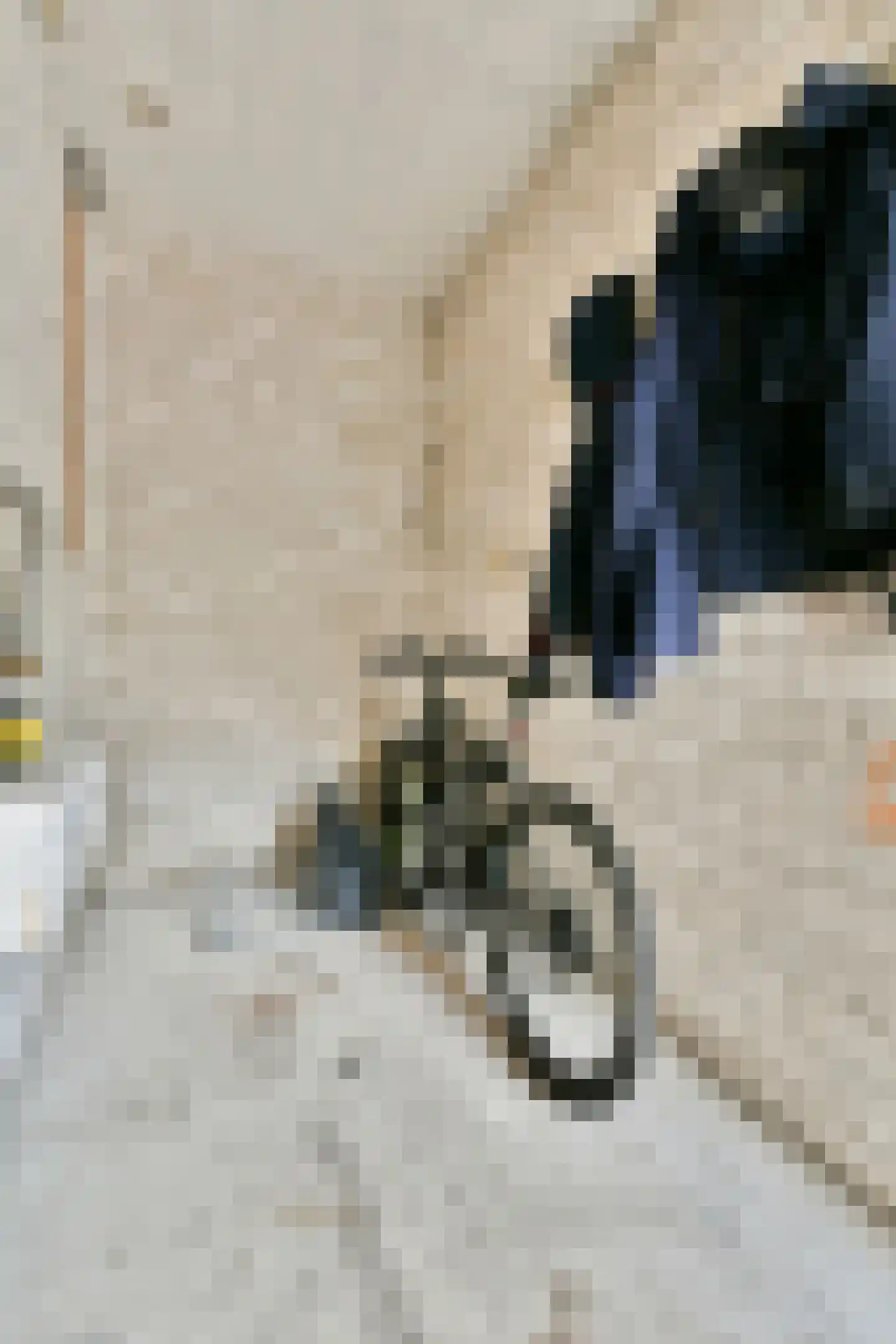 Paul Scholtenstraat 96 Amsterdam thumbnail 25