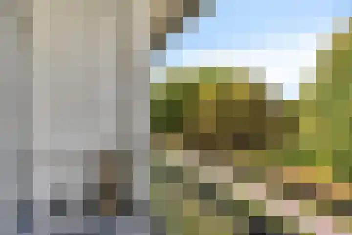Paul Scholtenweg 12 Eindhoven thumbnail 16
