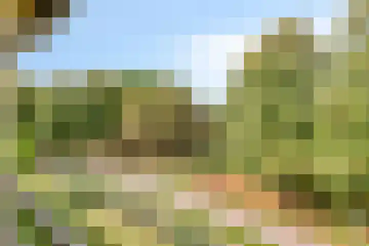 Paul Scholtenweg 12 Eindhoven thumbnail 17