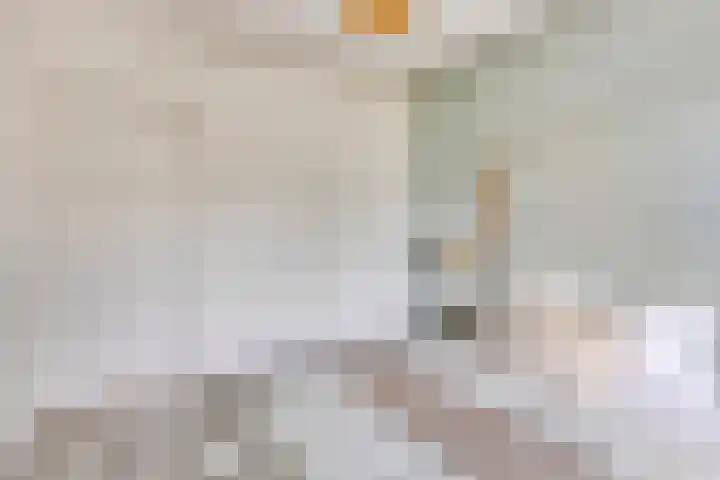 Paul Scholtenweg 12 Eindhoven thumbnail 20