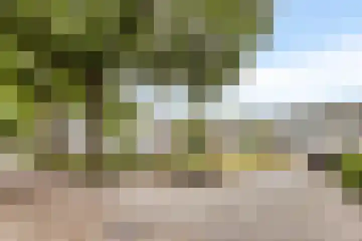 Paul Scholtenweg 12 Eindhoven thumbnail 28