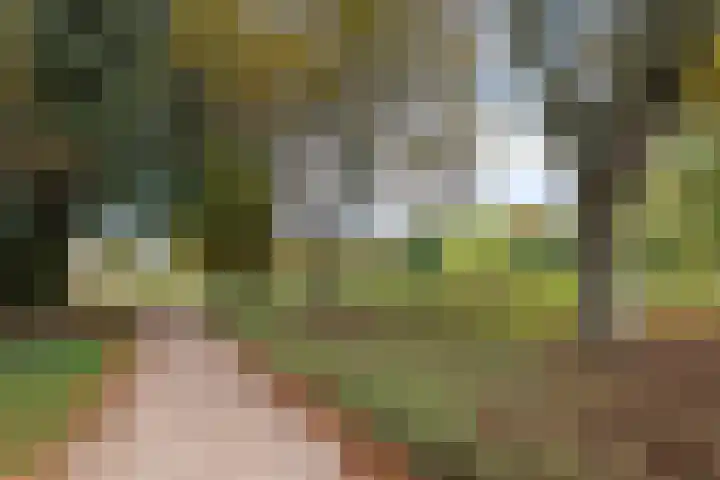Paul Scholtenweg 12 Eindhoven thumbnail 29