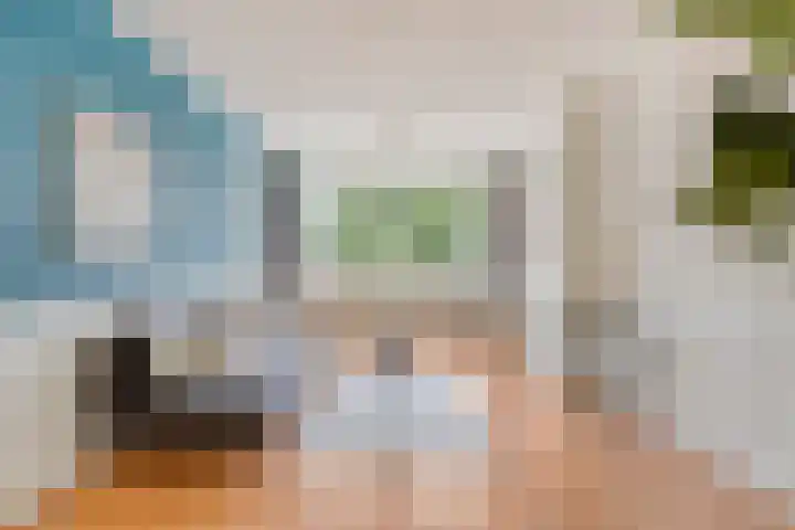 Paul Scholtenweg 12 Eindhoven thumbnail 7