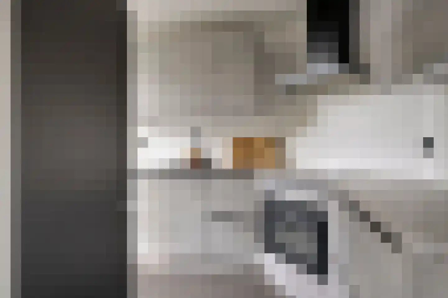 Paul Scholtenweg 24 Eindhoven thumbnail 13