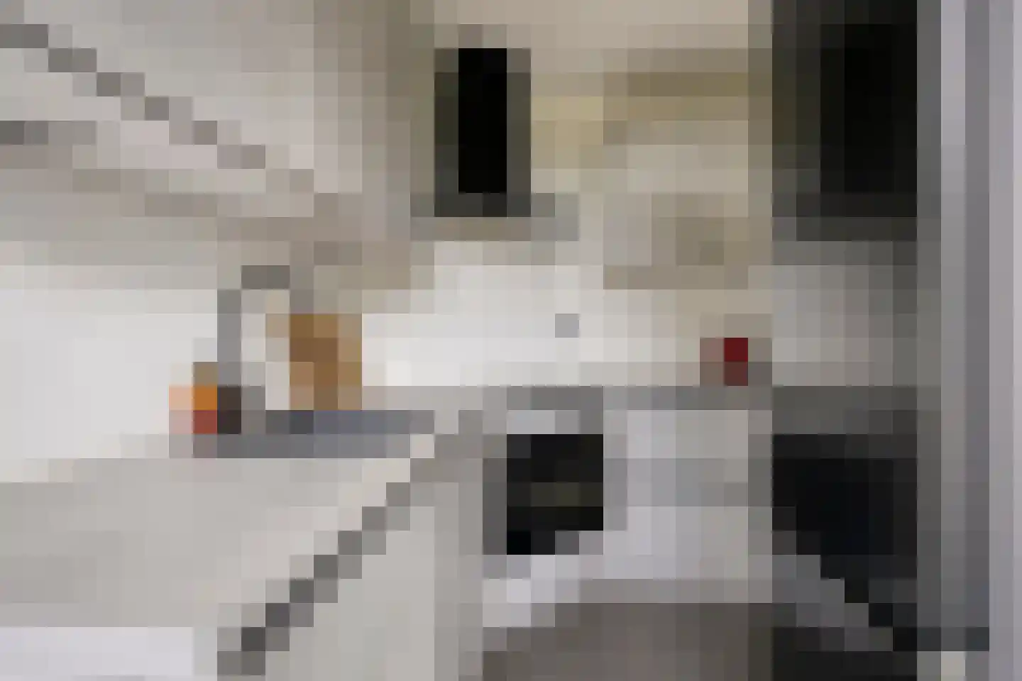 Paul Scholtenweg 24 Eindhoven thumbnail 14