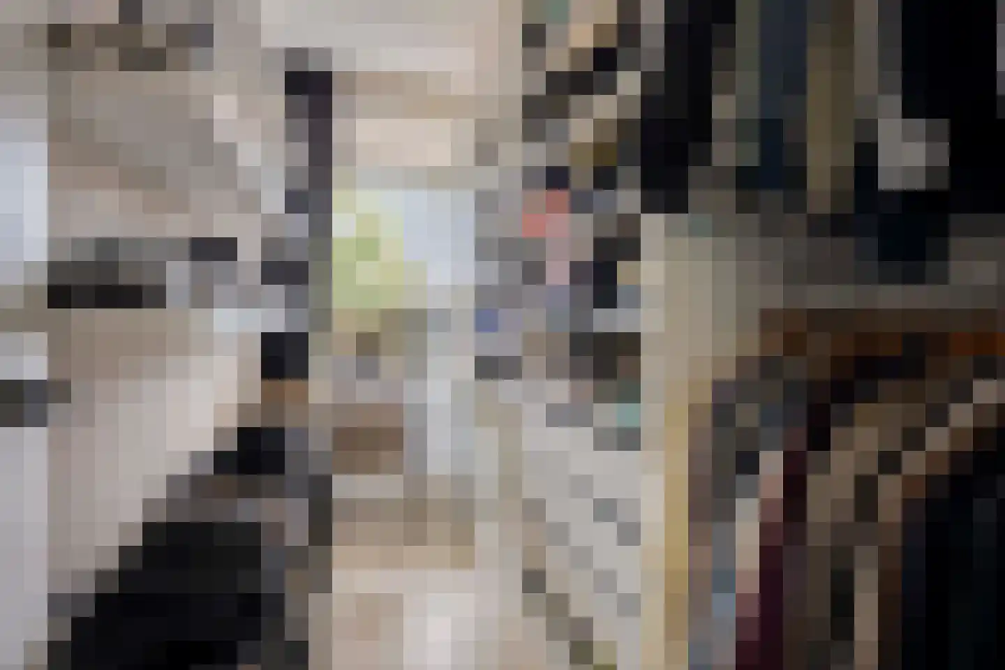 Paul Scholtenweg 24 Eindhoven thumbnail 18