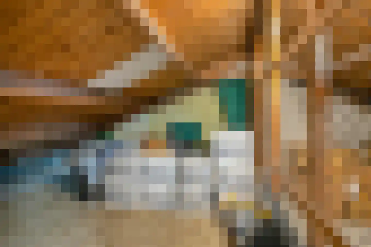 Paul Scholtenweg 24 Eindhoven thumbnail 19