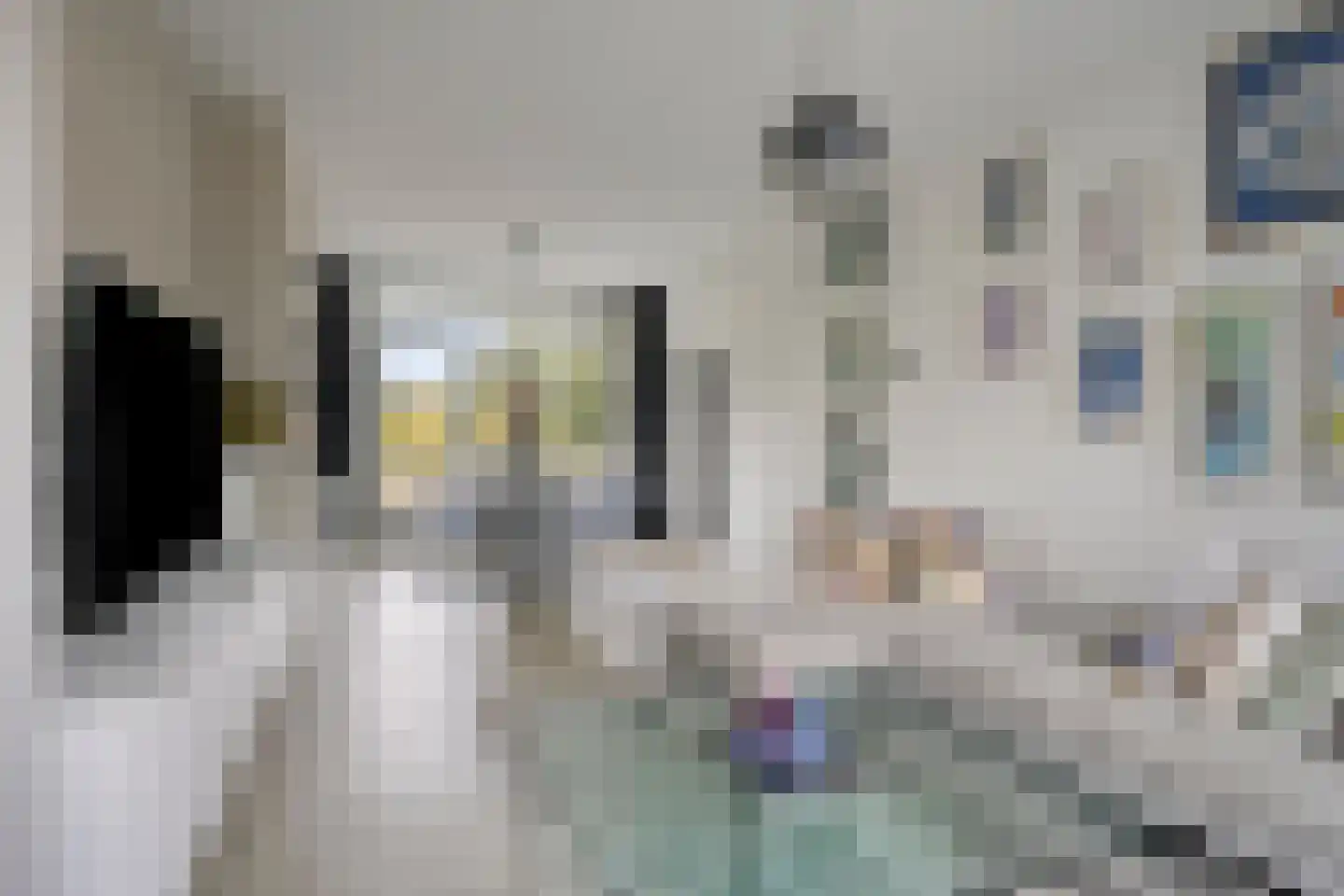 Paul Scholtenweg 24 Eindhoven thumbnail 9
