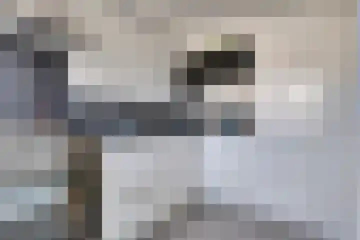 Paul Scholtenweg 38 Eindhoven thumbnail 16