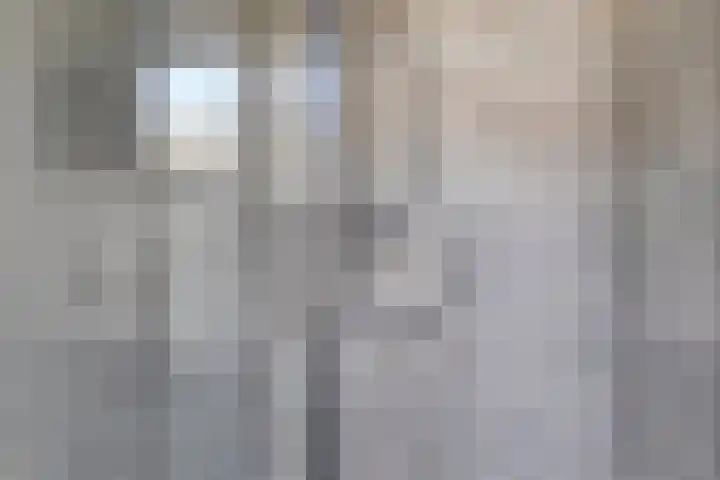 Paul Scholtenweg 38 Eindhoven thumbnail 18