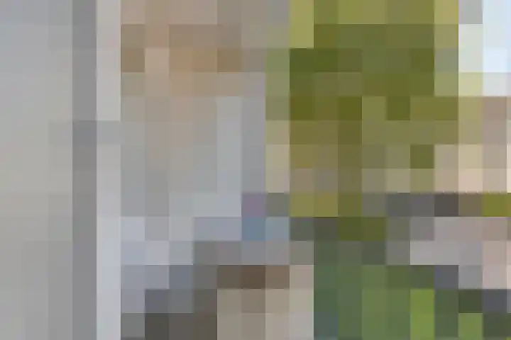 Paul Scholtenweg 38 Eindhoven thumbnail 24