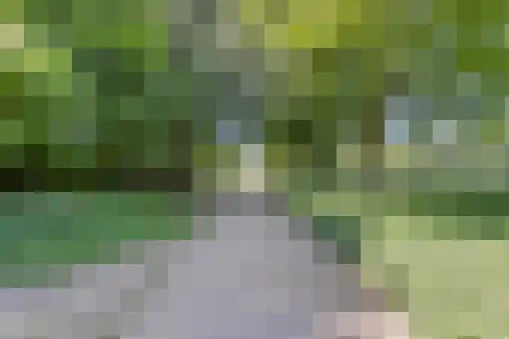 Paul Scholtenweg 38 Eindhoven thumbnail 26