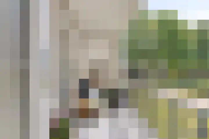 Paul Scholtenweg 38 Eindhoven thumbnail 6