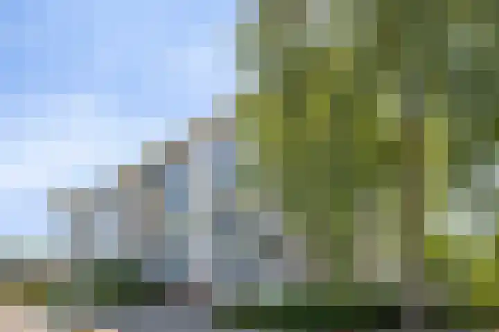 Paul Scholtenweg 38 Eindhoven thumbnail 7