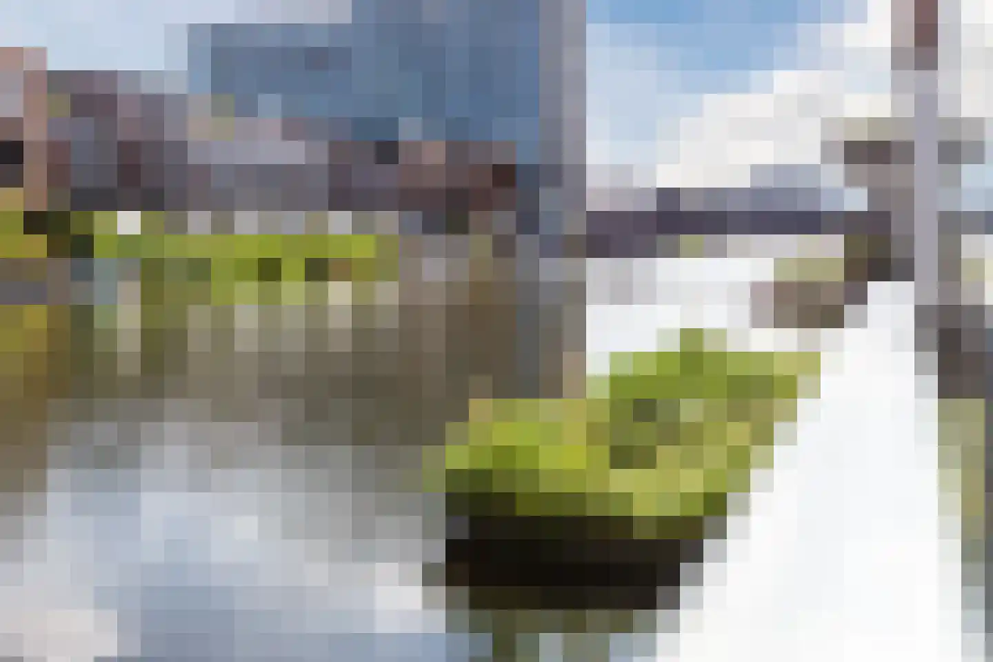 Paul Schuitemahof 13 Amsterdam thumbnail 51