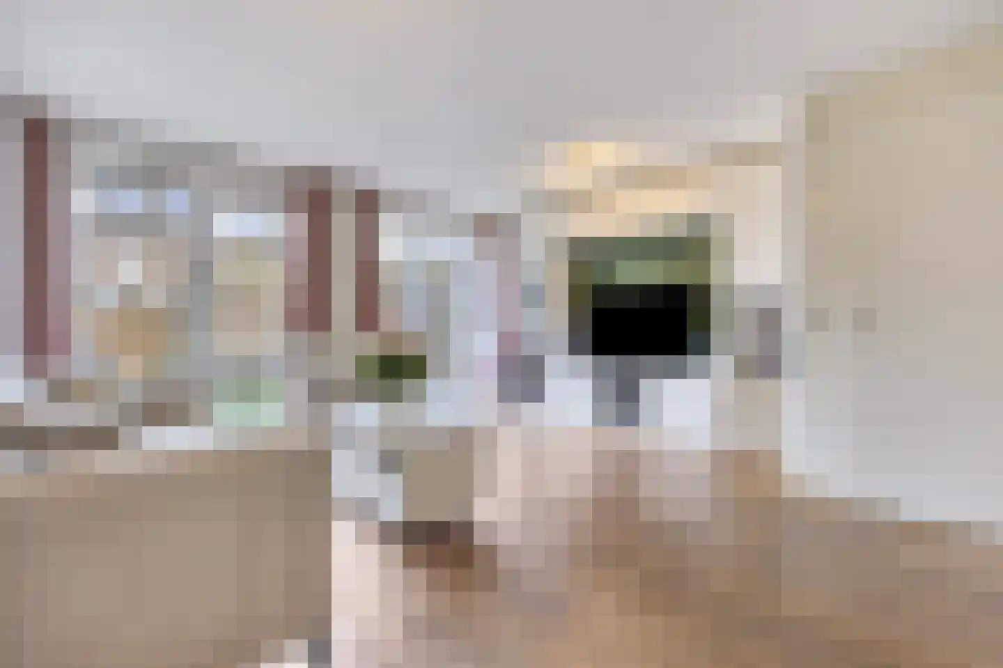 Paul Steenbergenlaan 102 Den Haag thumbnail 10