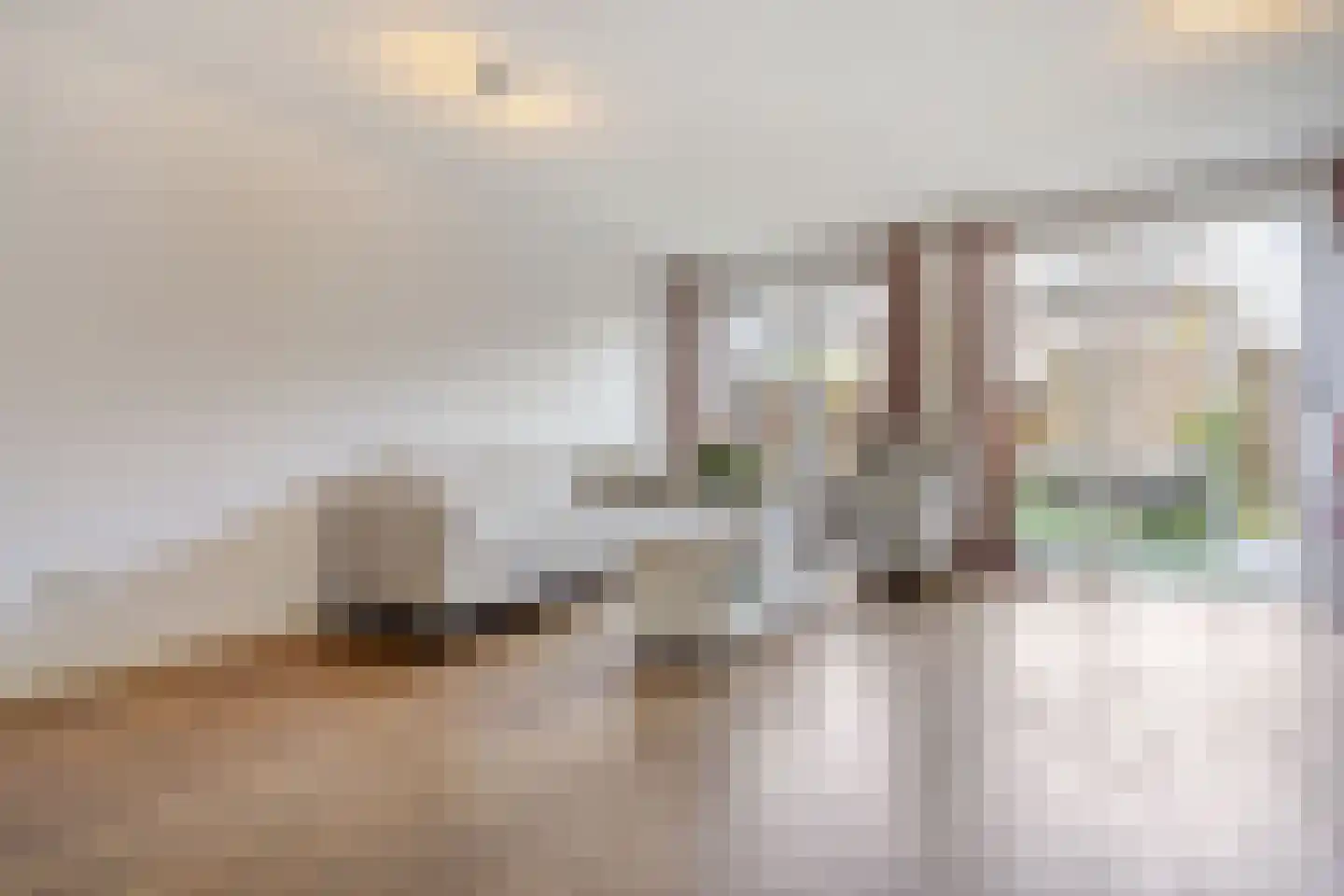 Paul Steenbergenlaan 102 Den Haag thumbnail 11