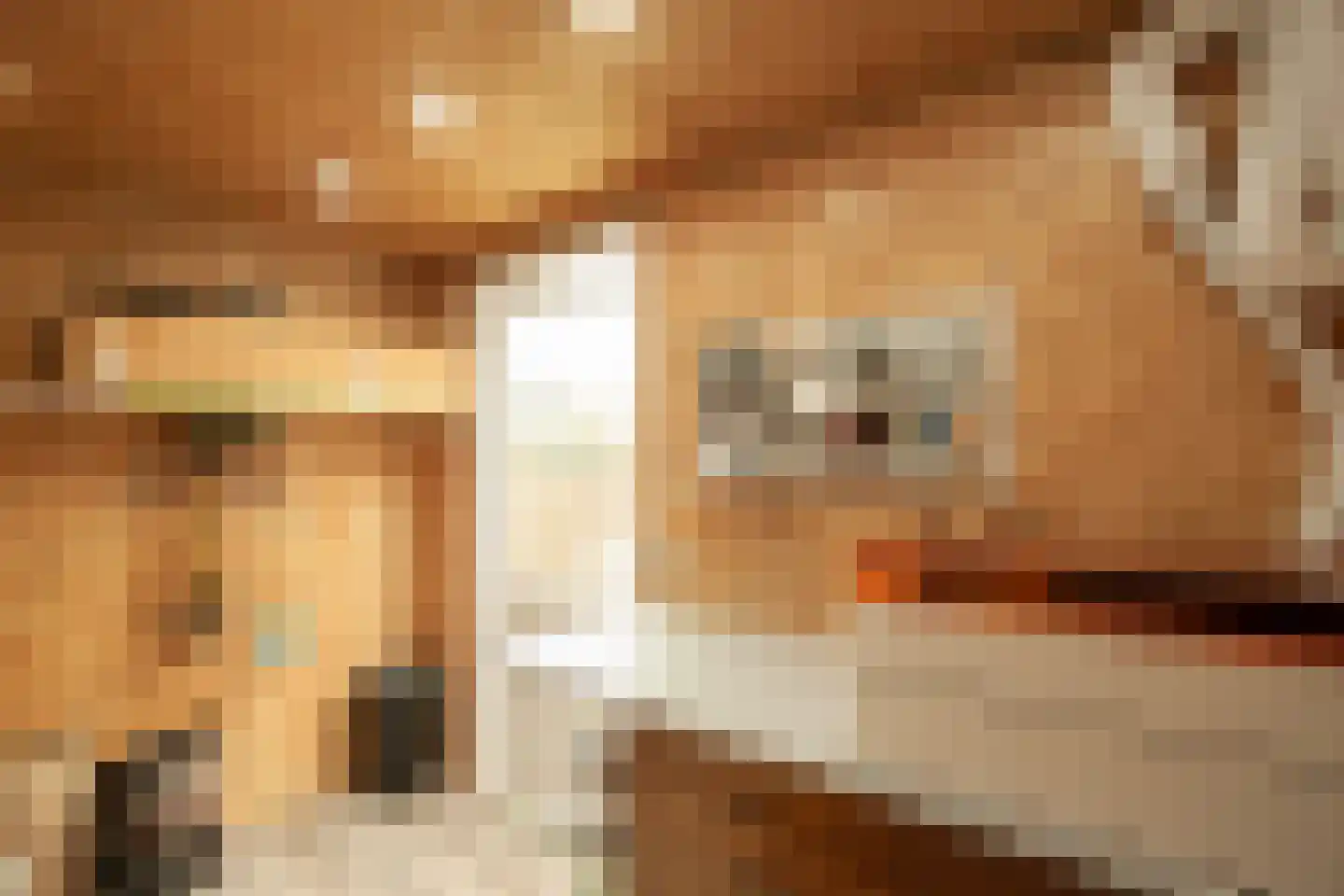 Paul Steenbergenlaan 102 Den Haag thumbnail 17