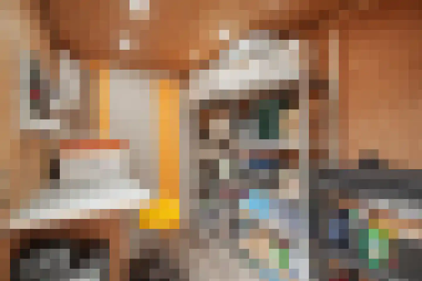 Paul Steenbergenlaan 102 Den Haag thumbnail 18