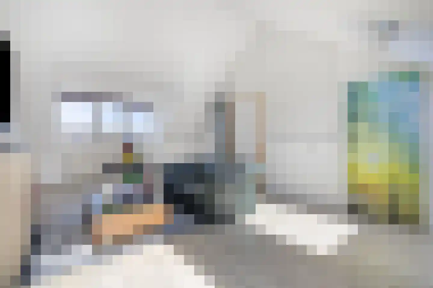 Paul Steenbergenlaan 102 Den Haag thumbnail 30