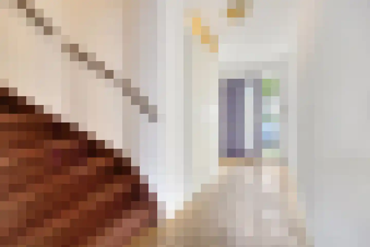 Paul Steenbergenlaan 102 Den Haag thumbnail 6